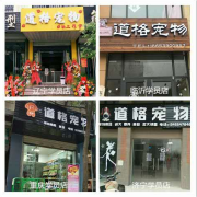 宠物老兵说：宠物店加盟和大小班培训