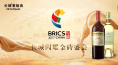 中粮集团总裁于旭波邀金砖各国来宾共