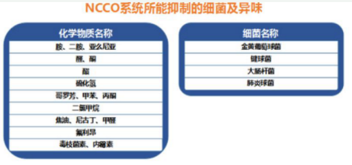 全面实施二胎政策,空气污染增加婴儿先