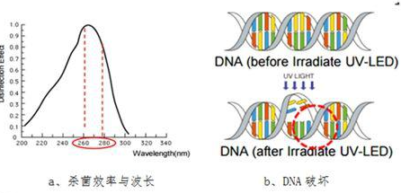 深紫外灭菌高科技走入千家万户 