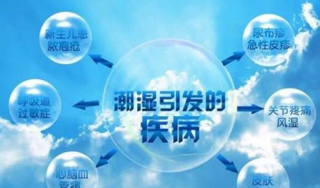 窝美到家硅藻泥，抗菌防霉专家