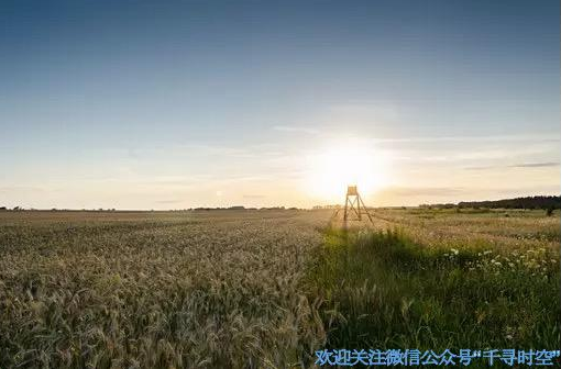 植保老司机畅谈“踩坑史” 前半生最头