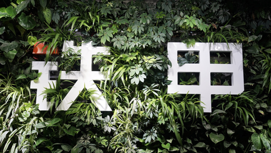 铁甲：一家“互联网+工程机械”创业公