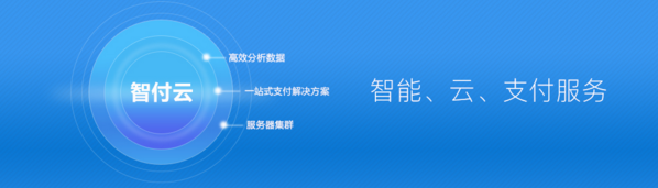 智付云：立足支付，服务企业