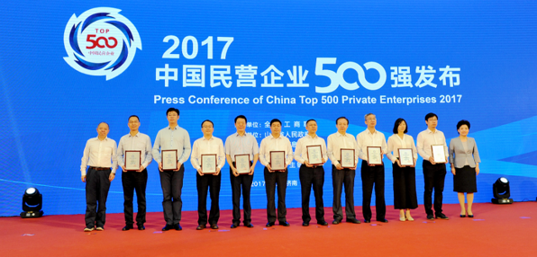 高纪凡：民营企业“走出去”，要为全