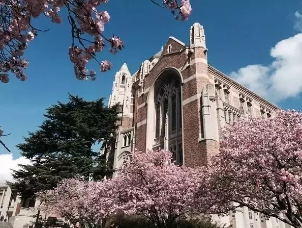 凰观咨询：不可错过的新生入学秘籍—