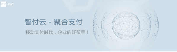 智付云：场景、定制化、技术服务