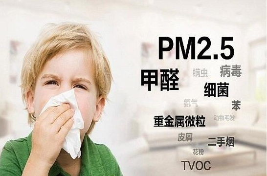 雾霾来临，专家为您解读如何根除PM2.