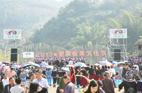 贵州望谟首届“板栗文化节”开幕 最美