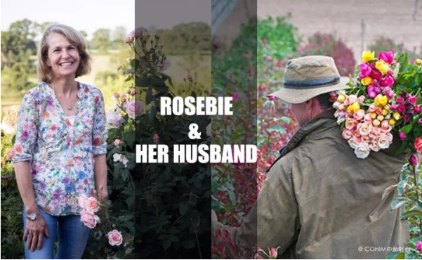 一起去Rosebie Morton的花园逛逛|中赫国际
