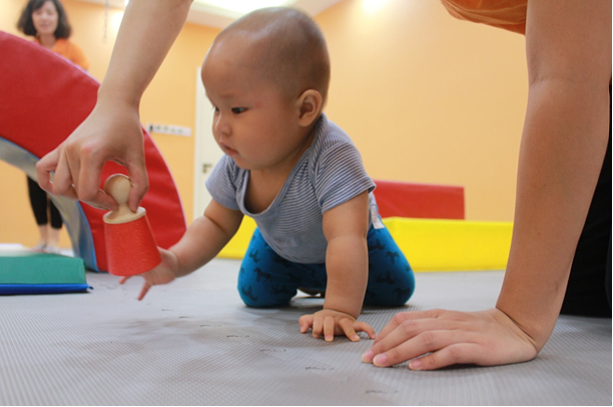娃咋养科学早教 亲子教师（测评师）