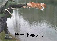 测夫妻相找对象，人脸识别黑科技引爆