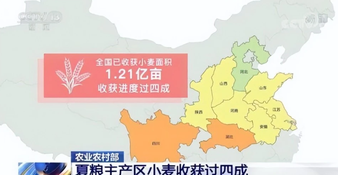 超3亿亩小麦迎来收割季，市场收购价格